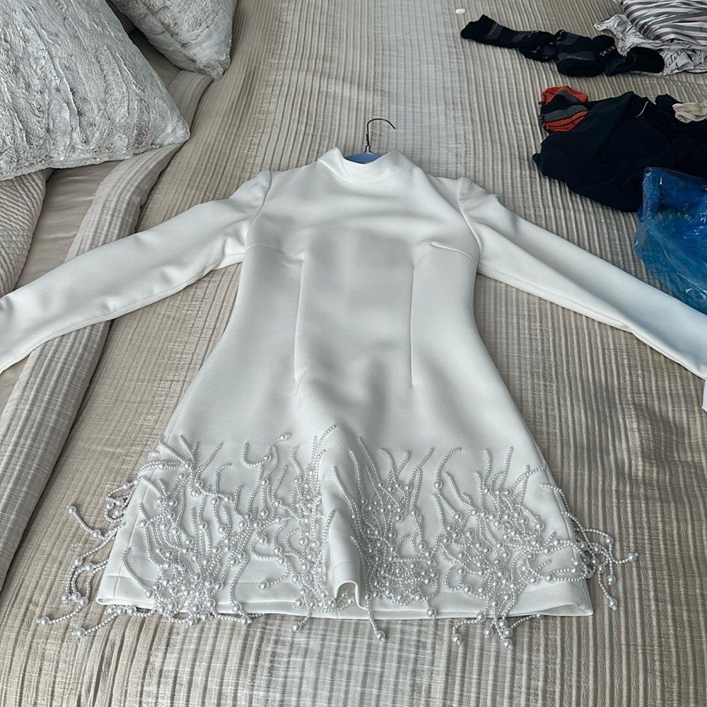 The Ultimate Muse Pearl Drop Long Sleeve Dress | White